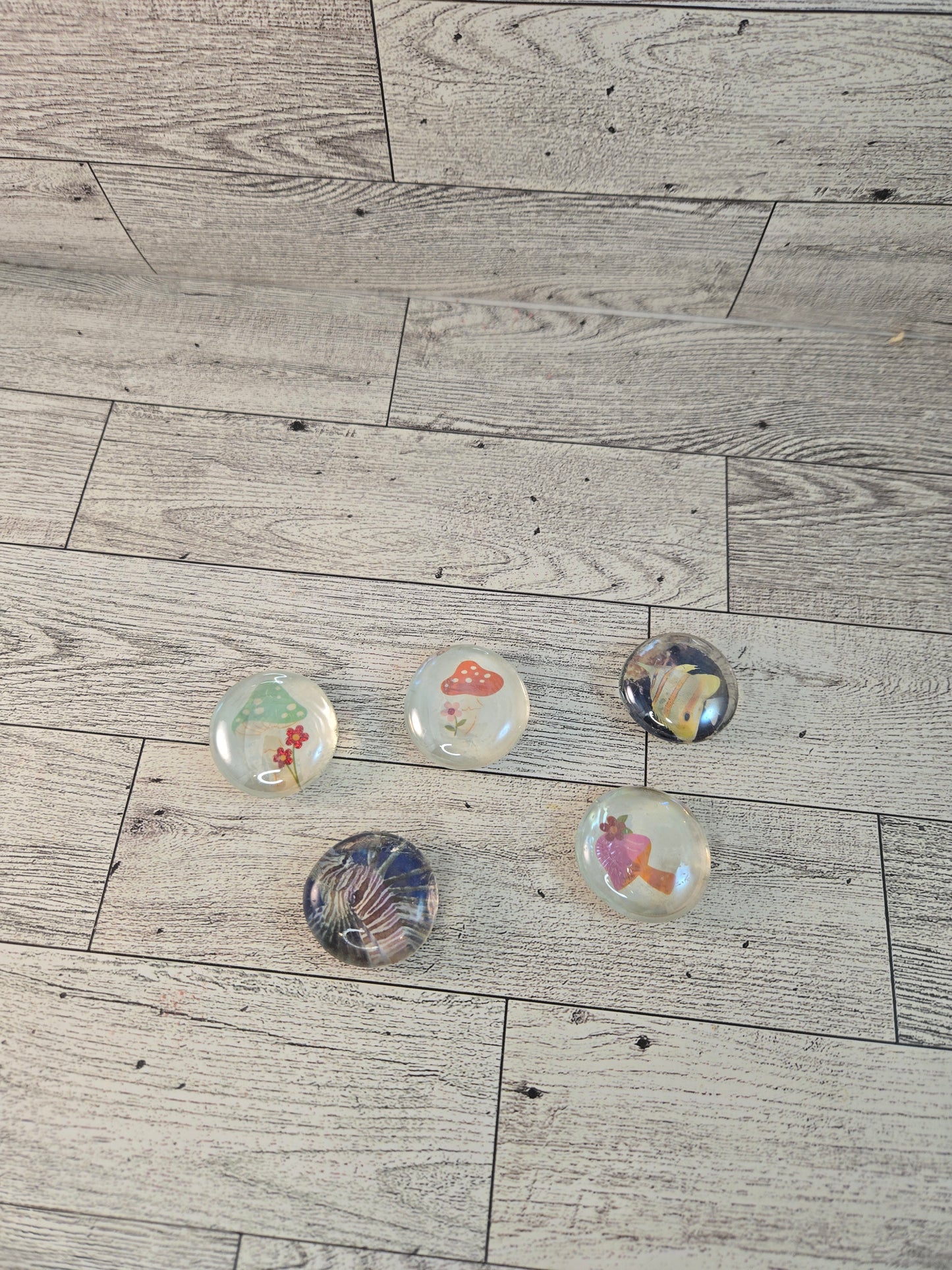 Clear Gem Magnet