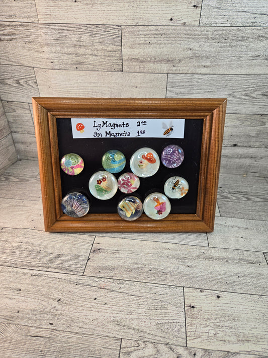 Clear Gem Magnet