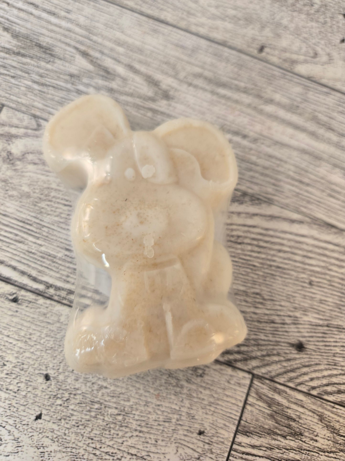 Shampoo Bar for Pets